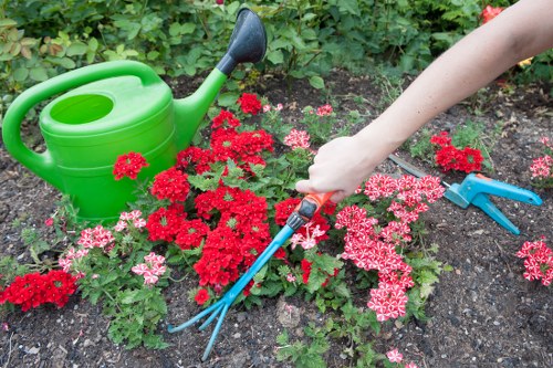 Lush green lawn after mowing service