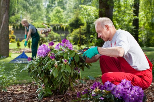 Garden debris removal and plant trimming