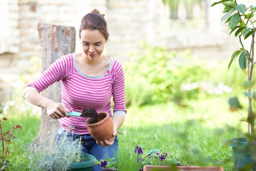Healthy tree maintenance in Enfield