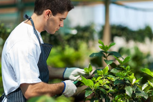 Environmental impact of tree services