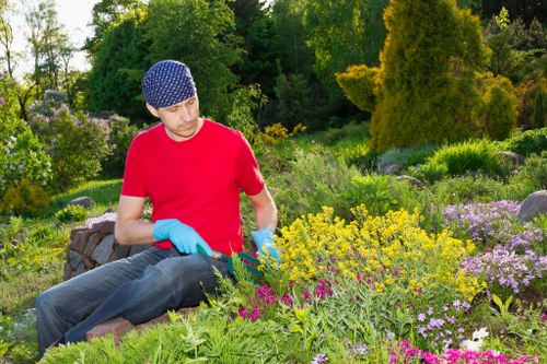 Planning and organizing garden clearance tasks