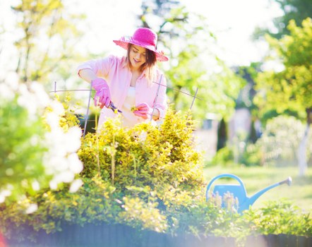 Seasonal garden maintenance activities enhancing the beauty of Enfield outdoor spaces.