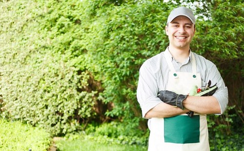 Experienced gardeners performing garden clearance