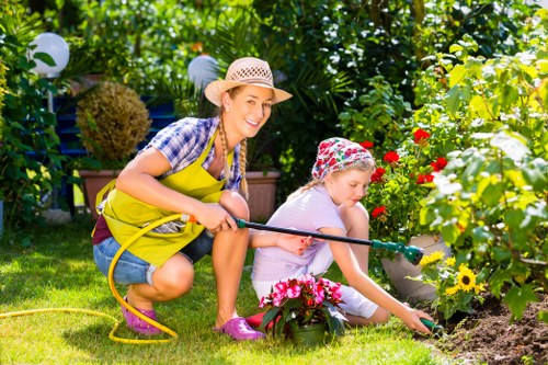 Tree removal process by experts