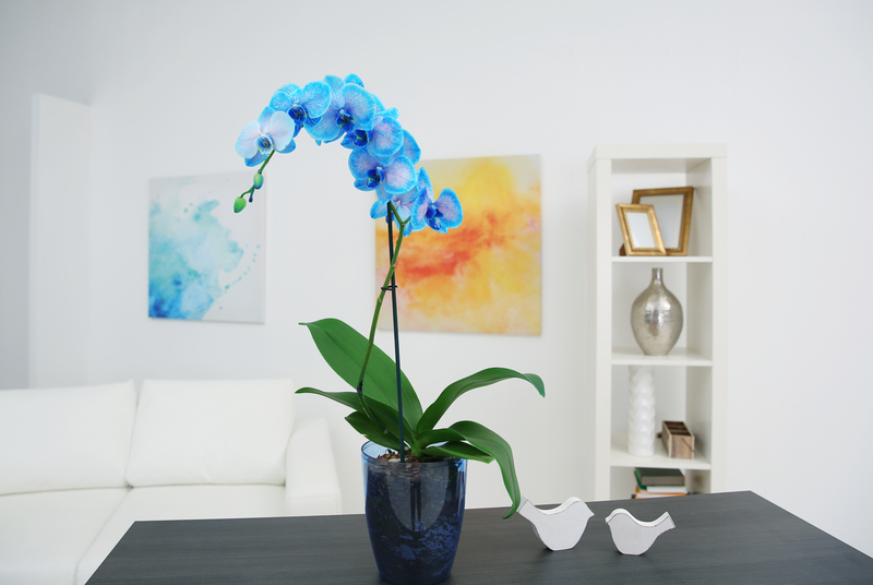 garden landscaping garden design