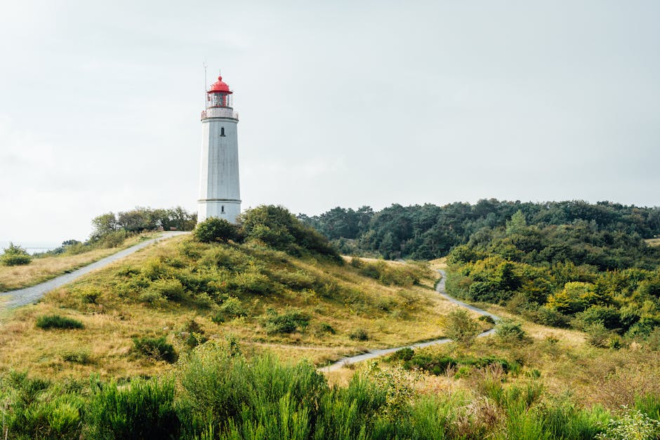 A scenic landscape featuring a tall, white lighthouse with a red top situated on a grassy hill. The hill is covered with a mixture of green and yellowish grass, and a narrow, winding dirt path leads u